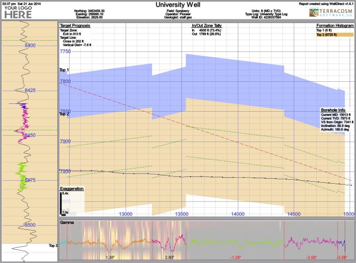 An example WellDirect report