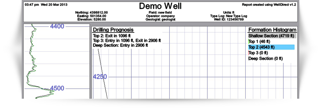 WellDirect report example